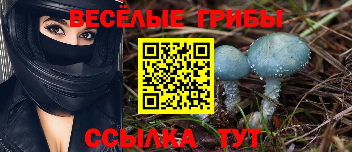 Псилоцибиновые грибы ЛСД Сарапул